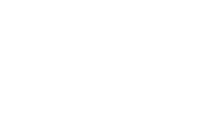 Logo fan van zeeland