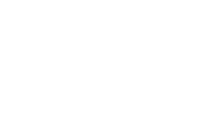 Logo gemeente schouwen en duiveland